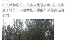 河北美院爆料视频最新消息,揭秘校园内幕，视频揭露惊人真相